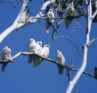 Carawine Gorge - Great Ocean Road Tourism