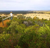 Archer Drive Scenic Drive and Lookout - Great Ocean Road Tourism