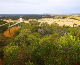 Archer Drive Scenic Drive And Lookout - Great Ocean Road Tourism 0