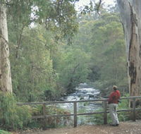 Cascades - Great Ocean Road Tourism