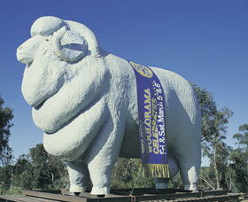 Giant Ram Tourist Park - Great Ocean Road Tourism 0