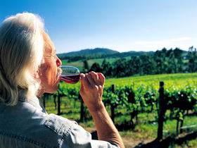 Ashton Hills Vineyard - Great Ocean Road Tourism 0