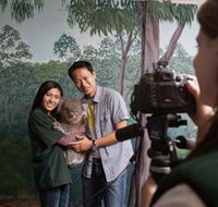 Cleland Wildlife Park - Great Ocean Road Tourism