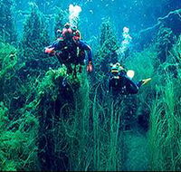 Ewens Ponds Conservation Park - Great Ocean Road Tourism