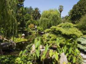 Adelaide Himeji Garden - Great Ocean Road Tourism 0
