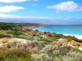 Marion Bay SA Great Ocean Road Tourism