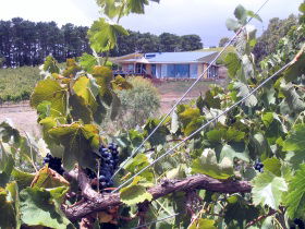 Zimmermann Wine - Great Ocean Road Tourism 0
