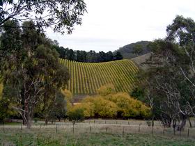 Mt Bera Vineyards - Great Ocean Road Tourism 0