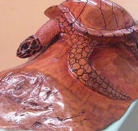 Ants Redgum Gallery - Great Ocean Road Tourism