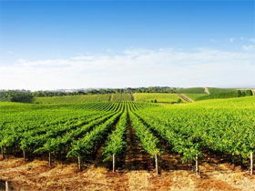 Aldinga SA Great Ocean Road Tourism