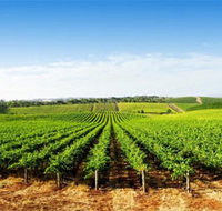 Aldinga Bay Winery - Great Ocean Road Tourism