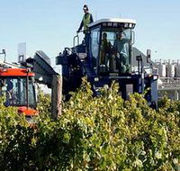 Ballast Stone Estate Wines Pty Ltd - Great Ocean Road Tourism