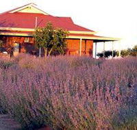 Bella Lavender Estate - Great Ocean Road Tourism