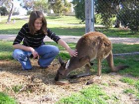 Wirrega SA Great Ocean Road Tourism