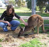 Pendleton Farmstay - Great Ocean Road Tourism
