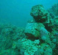 Adelaide's Underwater Heritage Trail - Great Ocean Road Tourism