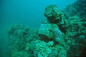 Adelaide's Underwater Heritage Trail - Great Ocean Road Tourism 0