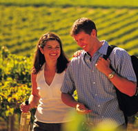 Lady Bay Vineyard - Great Ocean Road Tourism