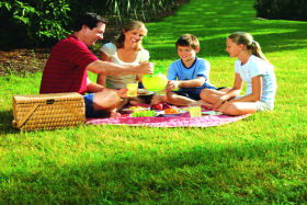 Great Ocean Road Tourism