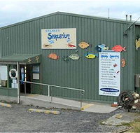 Stanley Seaquarium - Great Ocean Road Tourism