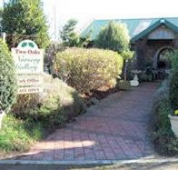 Two Oaks Nursery Gallery and Cafe - Great Ocean Road Tourism