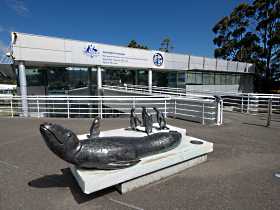 Australia's Antarctic Headquarters - Great Ocean Road Tourism 0