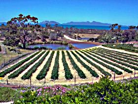 Kate's Berry Farm - Great Ocean Road Tourism 0