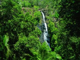 Montville QLD Great Ocean Road Tourism