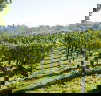 Surveyor's Hill Vineyards - Great Ocean Road Tourism