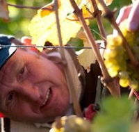 Puddleduck Vineyard - Great Ocean Road Tourism