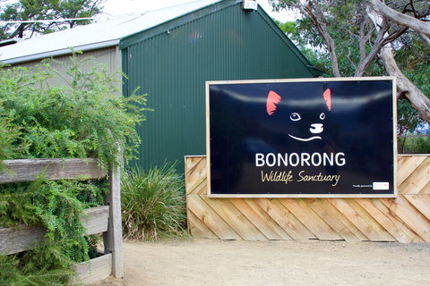 Bonorong Wildlife Sanctuary - Great Ocean Road Tourism 1
