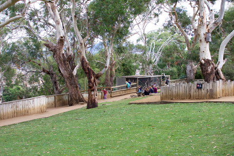 Bonorong Wildlife Sanctuary - Great Ocean Road Tourism 2
