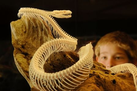 Araluen Cultural Precinct - Great Ocean Road Tourism 4
