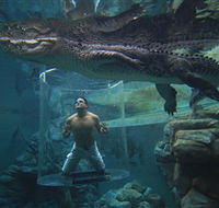 Crocosaurus Cove - Great Ocean Road Tourism