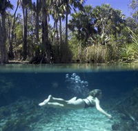 Bitter Springs - Great Ocean Road Tourism