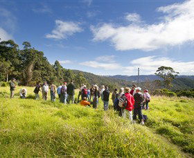 Austinville QLD Great Ocean Road Tourism