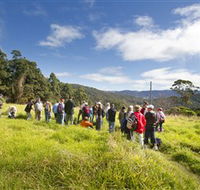 Apple Tree Park - Great Ocean Road Tourism