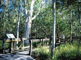 Noosa Heads QLD Great Ocean Road Tourism