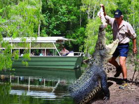 Hartleys Crocodile Adventures - Great Ocean Road Tourism 0