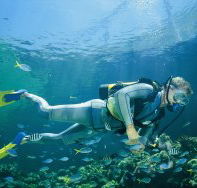 Tijou Reef - Great Ocean Road Tourism