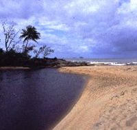 Russell River National Park - Great Ocean Road Tourism