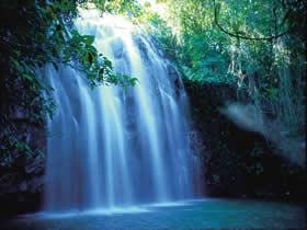 Zillie Falls - Great Ocean Road Tourism 0