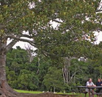 Ravensbourne National Park - Great Ocean Road Tourism