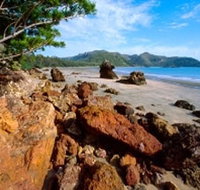Diversity Boardwalk - Great Ocean Road Tourism