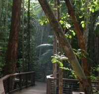 Basin Lake Track - Great Ocean Road Tourism