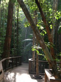 Basin Lake Track - Great Ocean Road Tourism 0