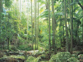 Python Rock - Great Ocean Road Tourism 0