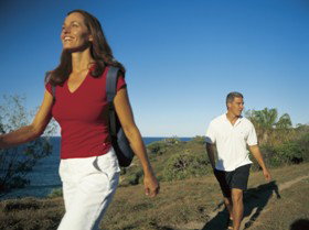 Telegraph Track - Great Ocean Road Tourism 0