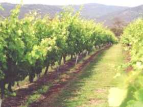 Girraween Estate - Great Ocean Road Tourism 0