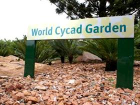 Anderson Park Botanic Gardens - Great Ocean Road Tourism 0
